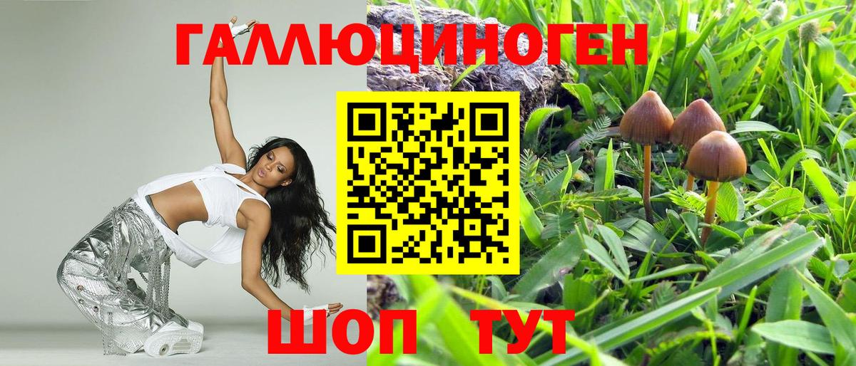 Псилоцибиновые грибы ЛСД Ковров