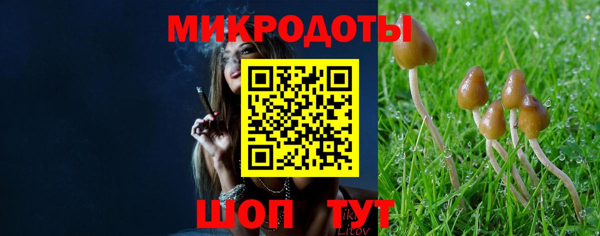 Псилоцибиновые грибы Magic Shrooms  Вход с VPN  купить наркотики сайты  Ковров 